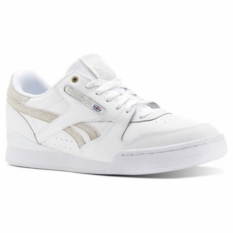 Tenisi Reebok Phase 1 Pro X Montana Cans Barbati Albi Romania TY2103WU